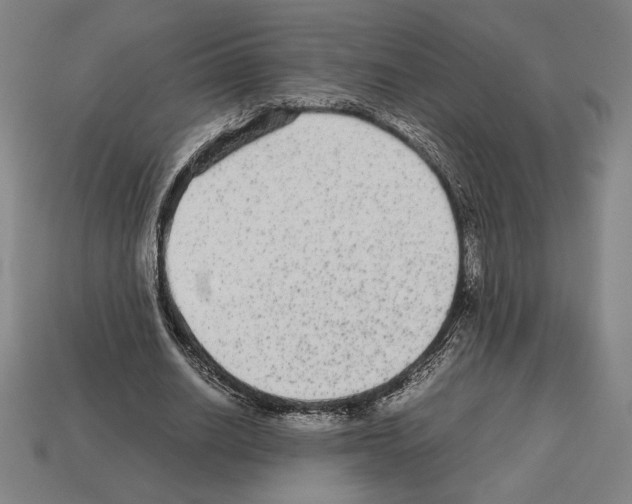 X0000112510630200909280956