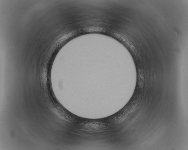 X0000112510631200909280956