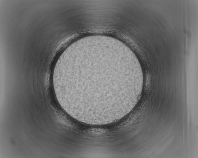 X0000112510636200909280956