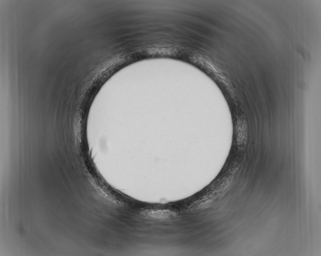 X0000112510637200909280956