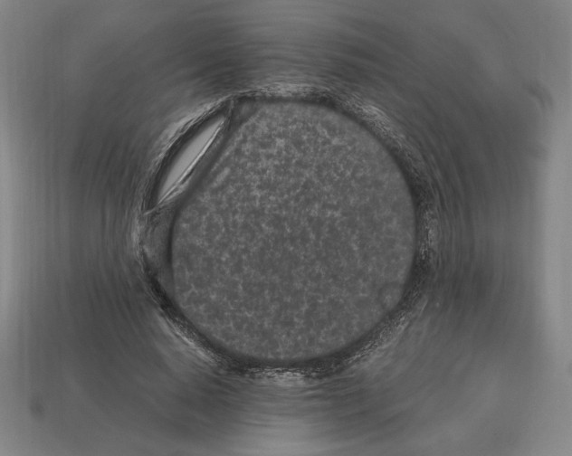 X0000112510640200909280956