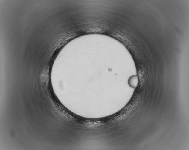 X0000112510642200909280956