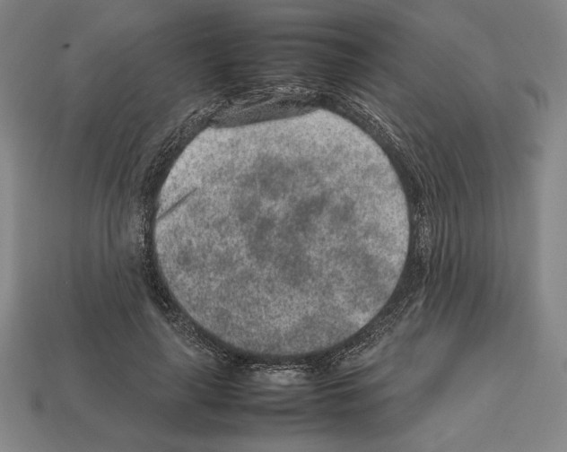 X0000112510643200909280956