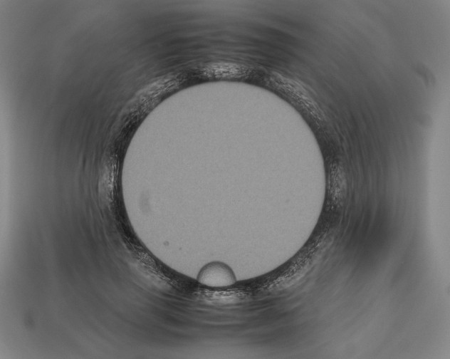 X0000112510645200909280956