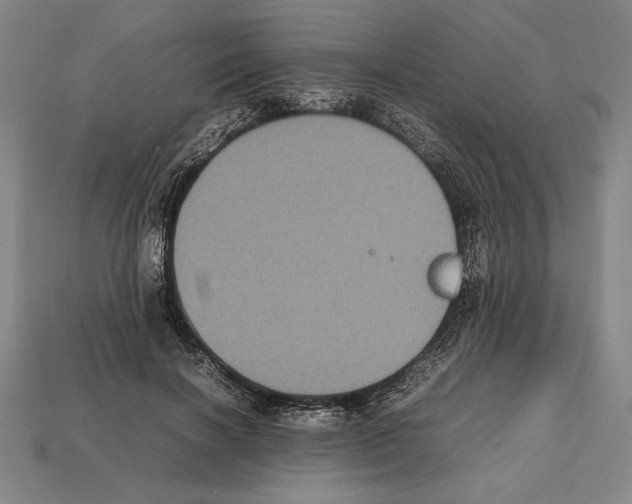 X0000112510646200909280956