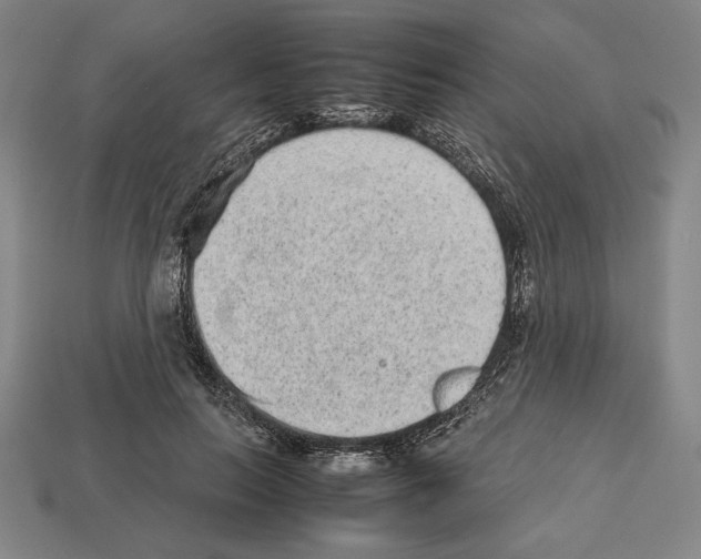 X0000112510647200909280956