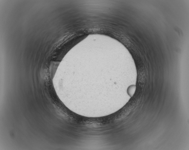 X0000112510648200909280956