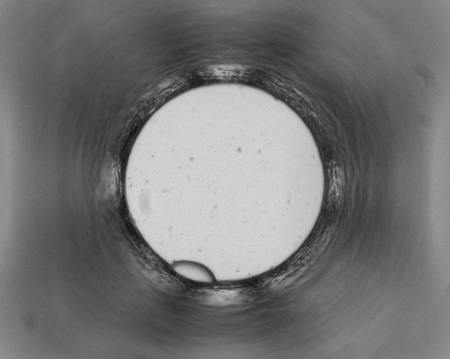 X0000112510651200909280956