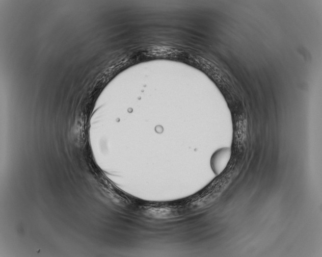 X0000112510653200909280956