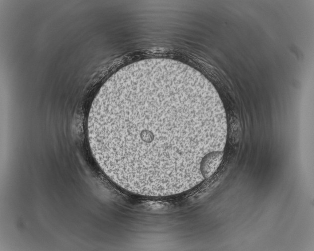 X0000112510654200909280956