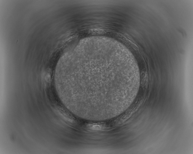 X0000112510655200909280956