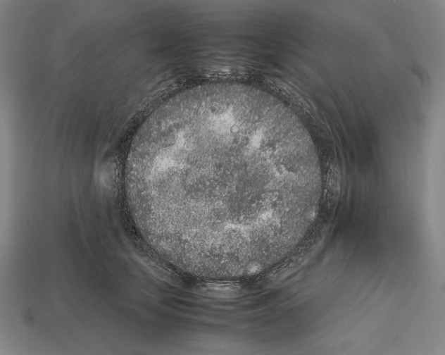 X0000112510659200909280956