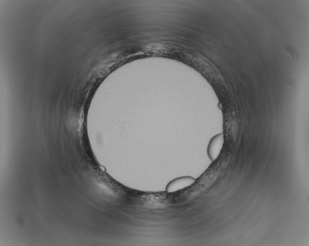 X0000112510660200909280956