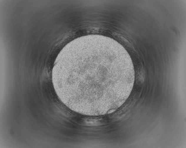 X0000112510661200909280956