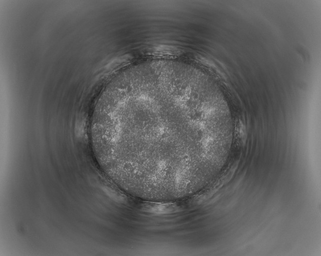 X0000112510663200909280957