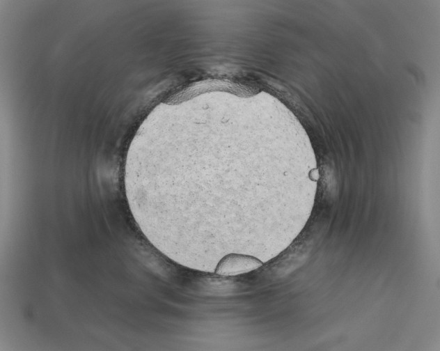 X0000112510668200909280957