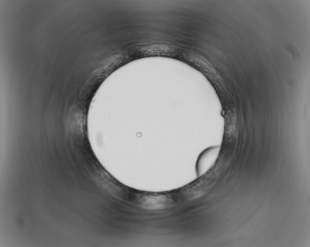 X0000112510669200909280957