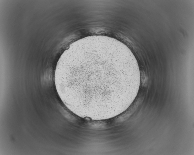 X0000112510670200909280957