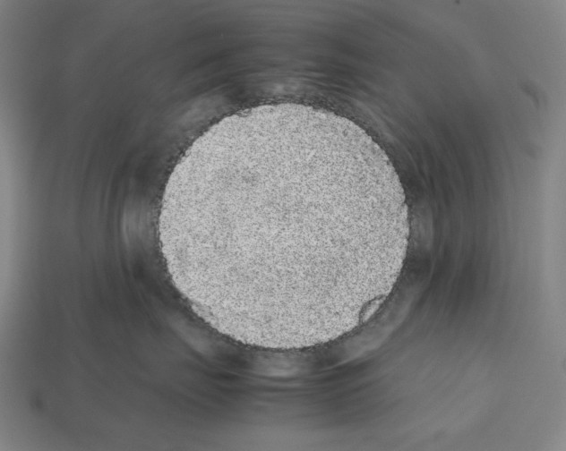 X0000112510671200909280957