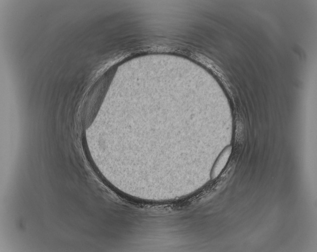 X0000112510673200909280956