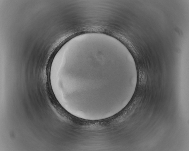 X0000112510674200909280956