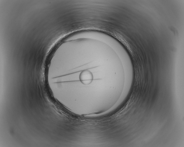 X0000112510676200909280956