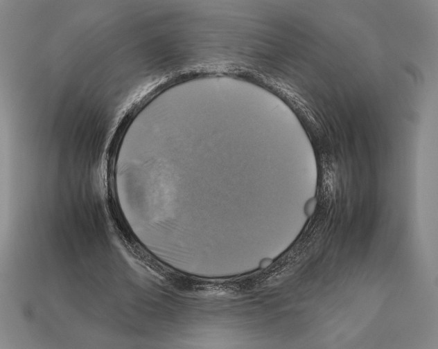 X0000112510678200909280956