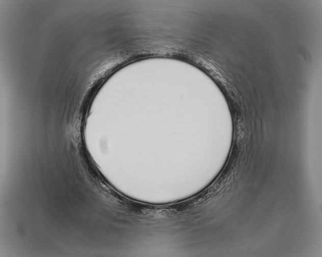 X0000112510679200909280956