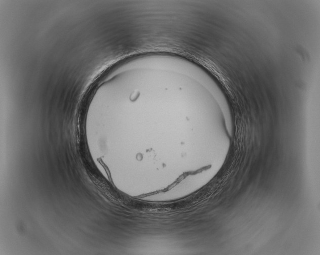 X0000112510680200909280956