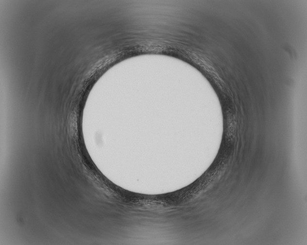 X0000112510681200909280956