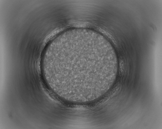 X0000112510682200909280956