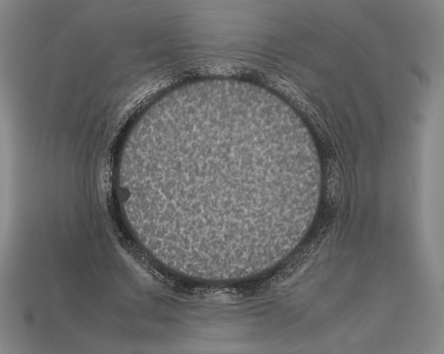 X0000112510683200909280956