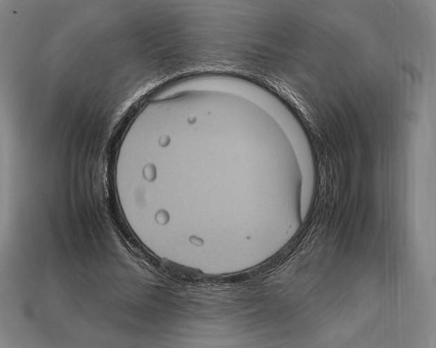 X0000112510684200909280956