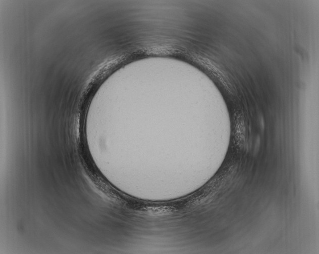 X0000112510686200909280956