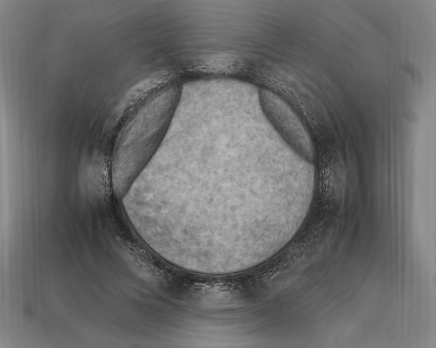 X0000112510688200909280956