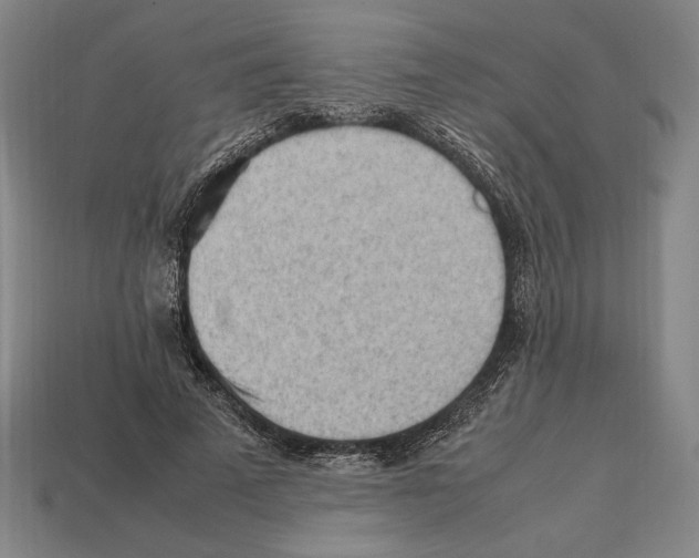 X0000112510689200909280956