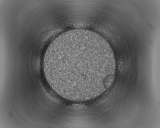 X0000112510690200909280956