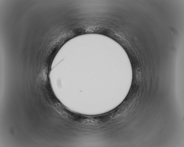 X0000112510691200909280956