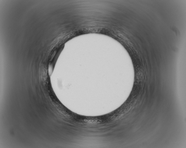 X0000112510693200909280956