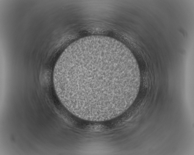 X0000112510695200909280956