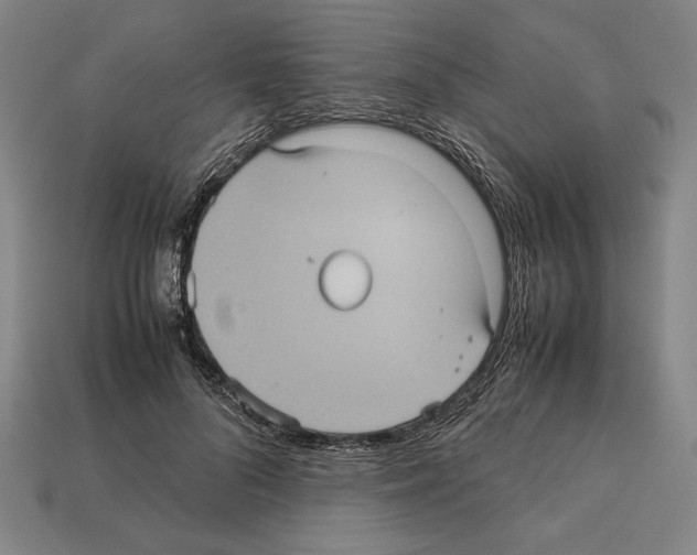 X0000112510696200909280956