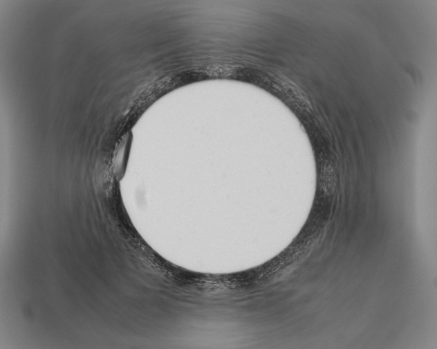 X0000112510697200909280956