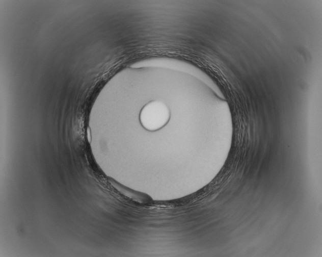 X0000112510700200909280956