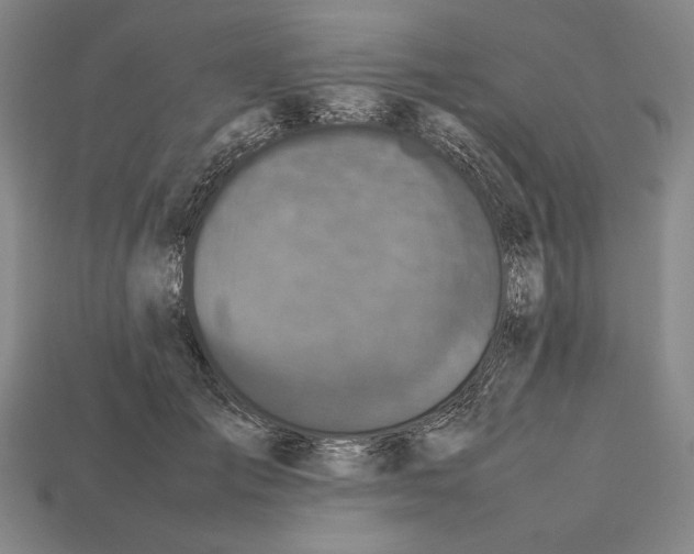 X0000112510701200909280956