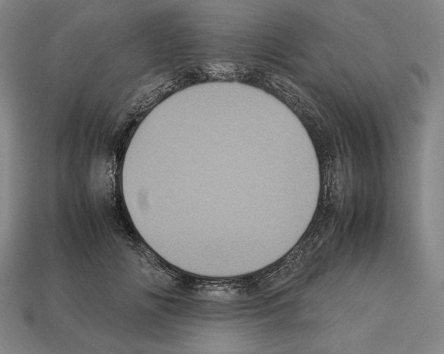 X0000112510702200909280956