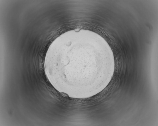 X0000112510704200909280956