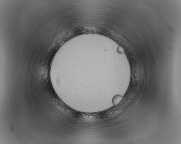 X0000112510706200909280956