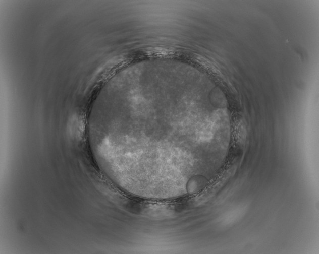 X0000112510709200909280956