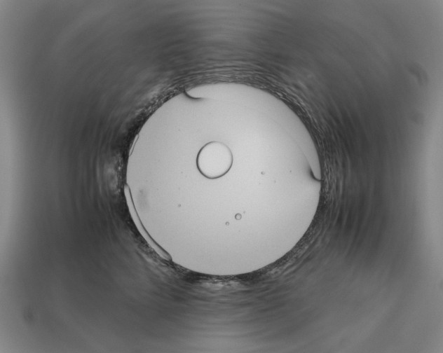 X0000112510712200909280956