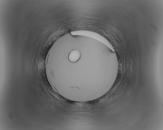 X0000112510713200909280955